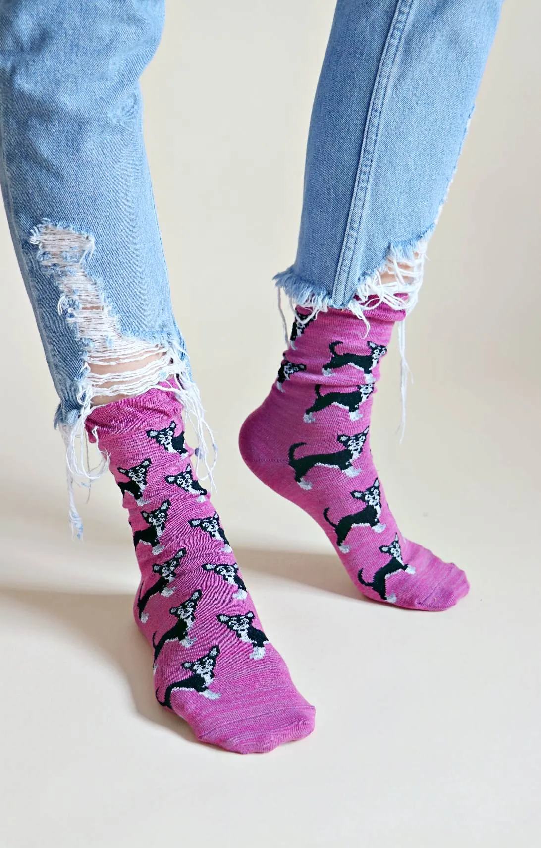 Animal Rescue Pairs CHIWAWA Dog Socks