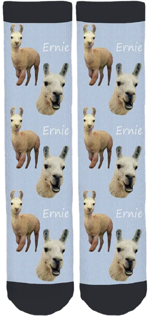 Blackberry Creek Farm Animal Sanctuary "Ernie" Socks