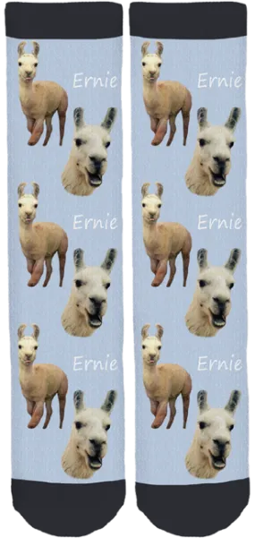 Blackberry Creek Farm Animal Sanctuary "Ernie" Socks