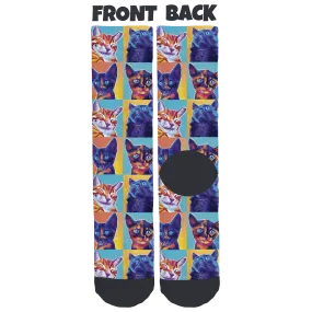 Cole, Marmalade, Jugg & Zig Zag Holidays Socks