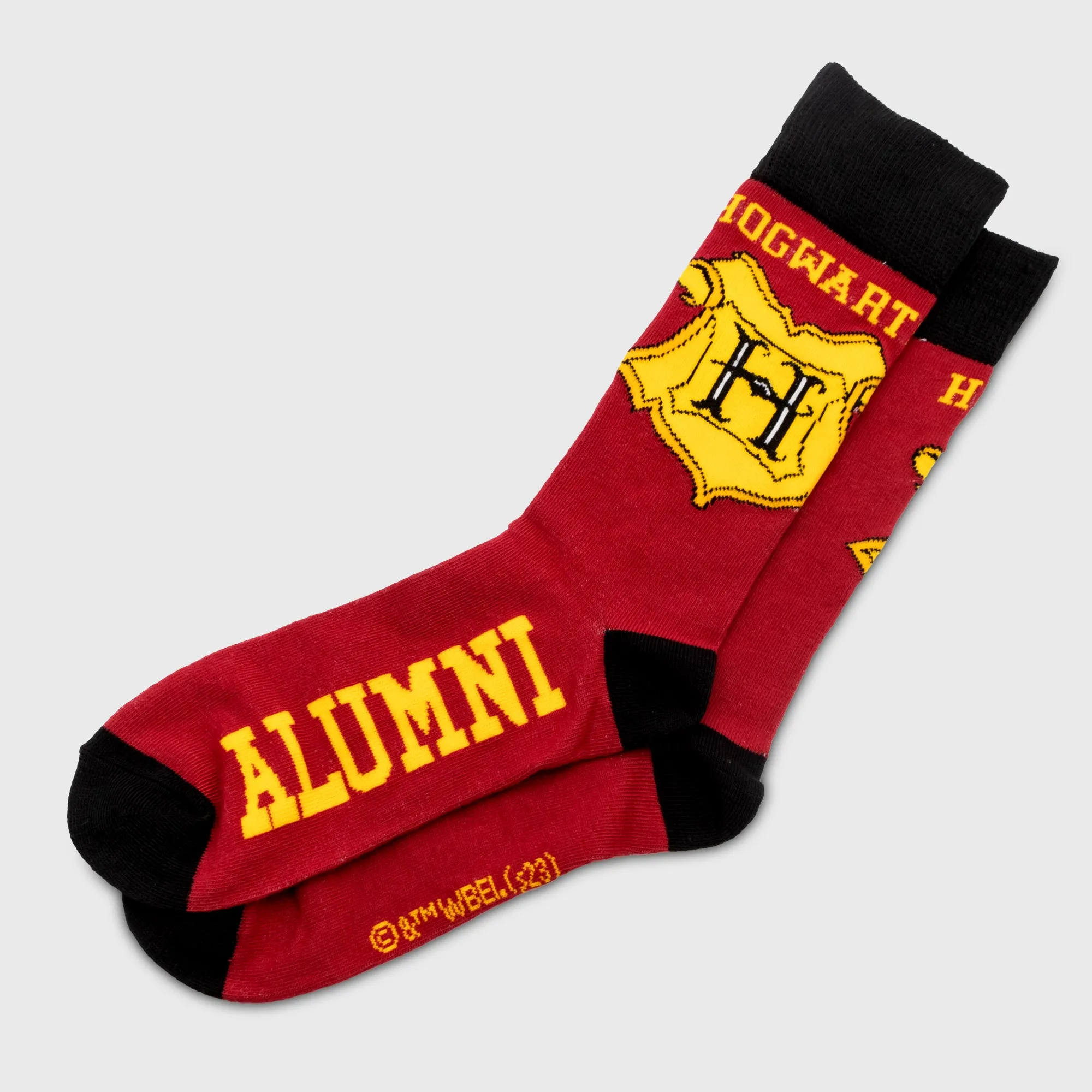 Harry Potter - Hogwarts Alumni Socks Bundle